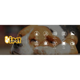 i.Pet Pet Carrier Soft Crate Dog Cat Travel 90x61CM Portable Foldable Car 2XL